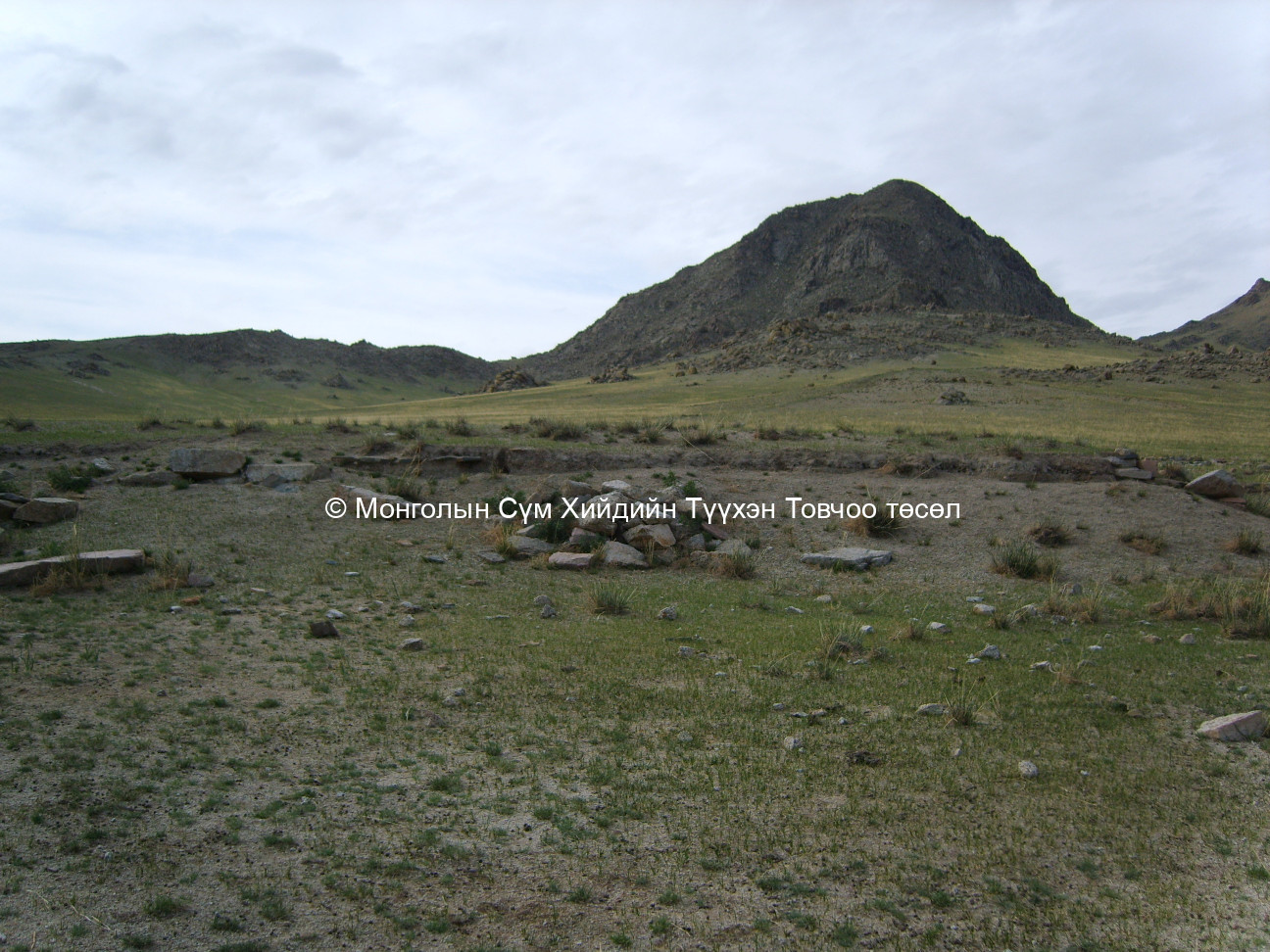 Бас нэгэн туурь